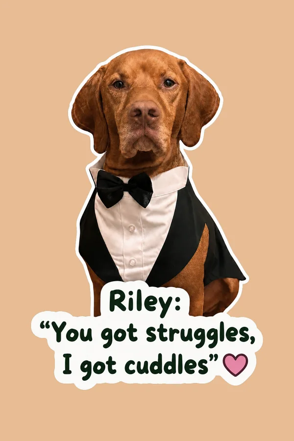 Riley the dog in a tuxedo